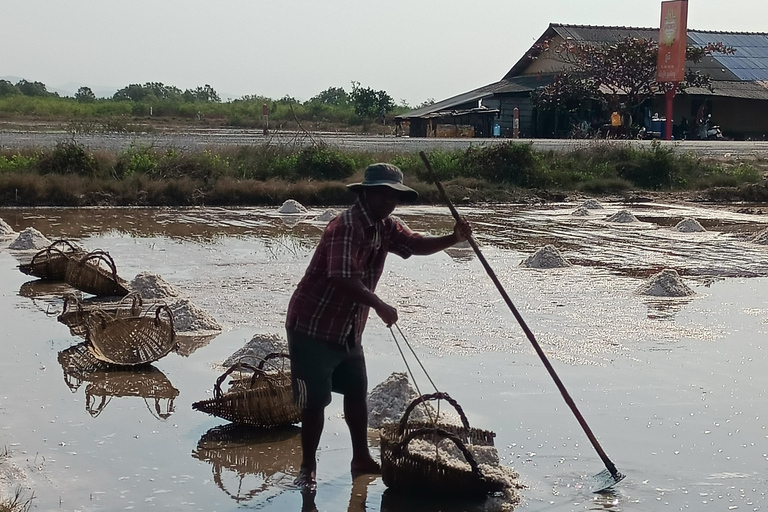 Countryside: Pepper Farm, Lake, Salt field Reflection Sunset