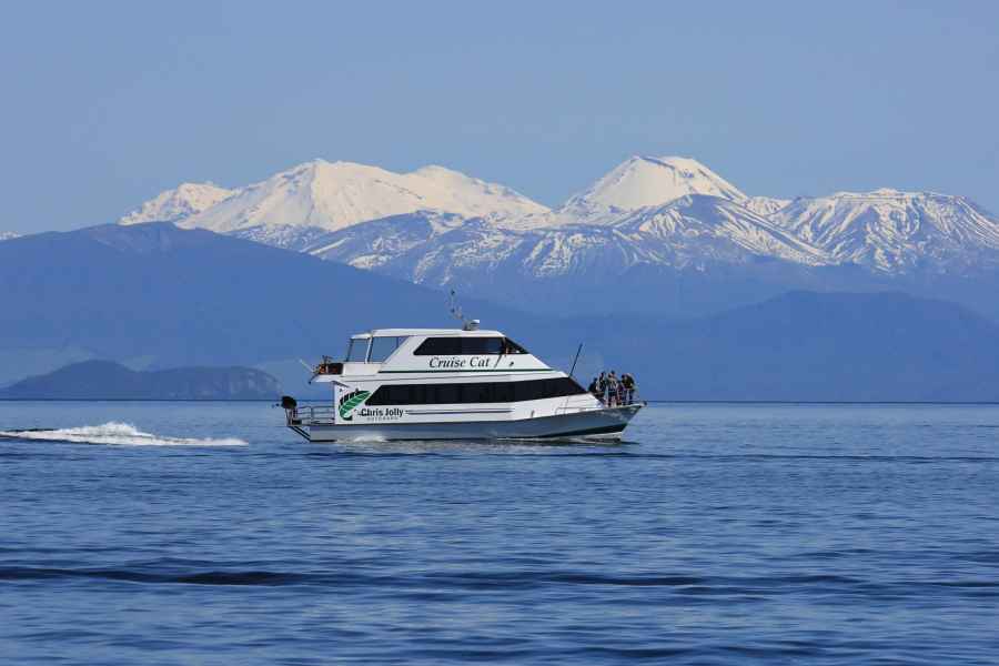 Lake Taupo: 90-minütige Bootsfahrt zu Maori-Felsschnitzerein