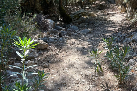 Agia Irini Schlucht &amp; Sougia Strand