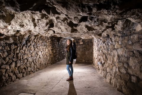 Budapest: Buda Castle Cave Walking Tour
