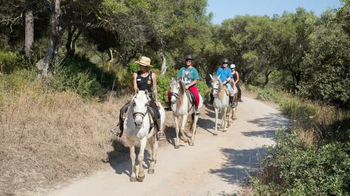 Mallorca: 2-Hour Mountain Horse Riding Experience