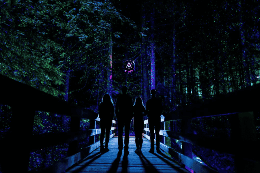 Whistler: Vallea Lumina Multimedia-Nachtwanderung. Foto: GetYourGuide Whistler: Vallea Lumina Multimedia-Nachtwanderung. Foto: GetYourGuide