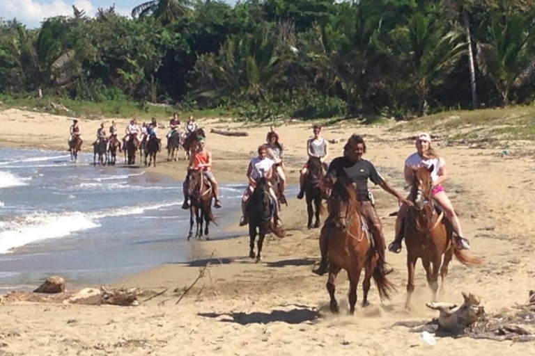 Puerto Plata: cabalgata en la playa