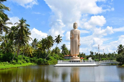 Bentota: Galle Dutch Fort &amp; Southwest Coast Private Day Tour