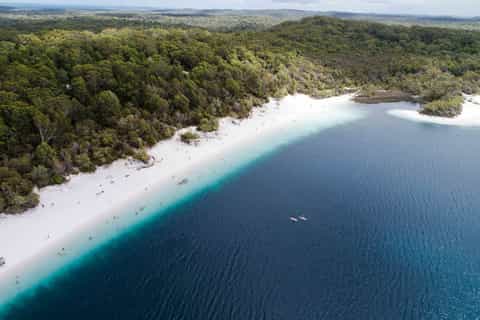 From Rainbow Beach: Fraser Island 2-Day 1-Night Bus Tour