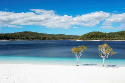 From Hervey Bay: Fraser Island Full-Day Coach Tour