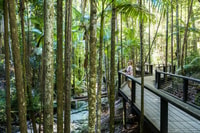 From Hervey Bay, K'gari, Fraser Island Two-Day Coach Tour - Housity
