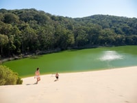 From Hervey Bay, K'gari, Fraser Island Two-Day Coach Tour - Housity