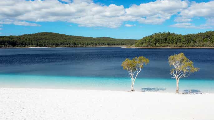 ab hervey bay 2tagesbustour nach fraser island