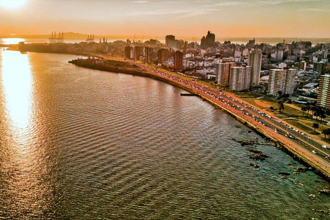 Montevideo: Guided City Sightseeing Tour with Transportation Included