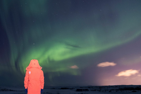 Reykjavik: Excursão em grupo à aurora boreal com fotos