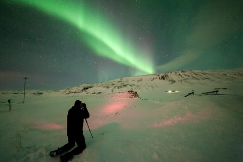 Reykjavik: noorderlicht-fototour & Aurora Center-ticket