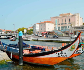 Aveiro: Traditional Moliceiro Boat Cruise