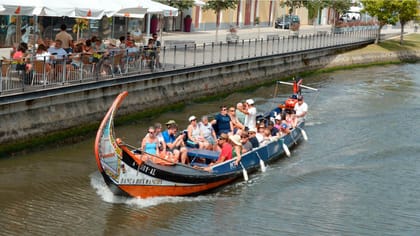 Aveiro, Traditional Moliceiro Boat Cruise - Housity