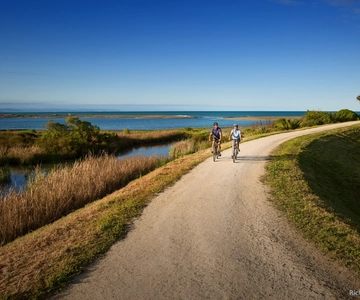Napier: Cape Coast Winery Tour on Pedal or E-Bikes