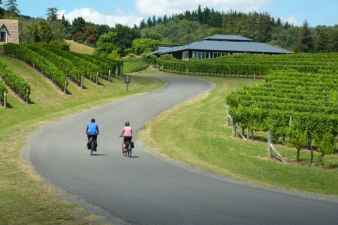 Napier: Cape Coast Winery Cycle Ride - E-Bike or Std-Bike Electric Bike: Self-Drive to Meeting Point
