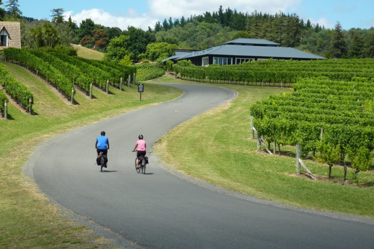 Napier: Cape Coast Winery Cycle Ride - E-Bike or Std-Bike Electric Bike: Self-Drive to Meeting Point
