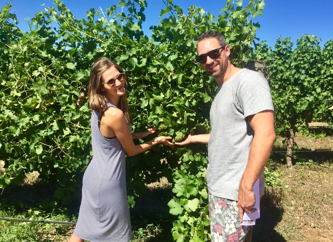 Fra Margaret River: Margaret River Wine Adventure