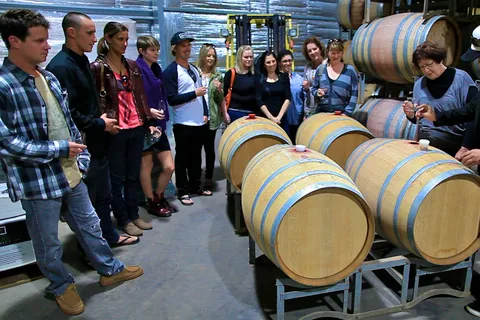 Desde Dunsborough/Busselton: Aventura vinícola en Margaret River