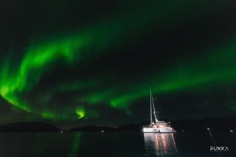 Tromso: 3-Hour Northern Lights Sailing Excursion