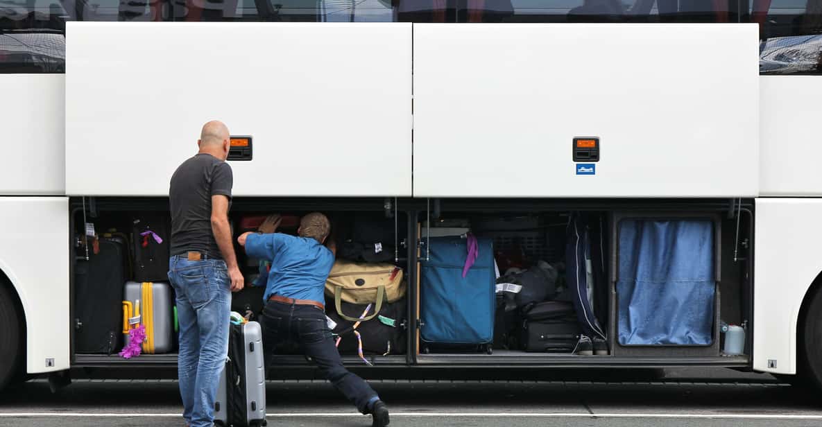 Rome: Shuttle Bus Transfer to or from Fiumicino Airport