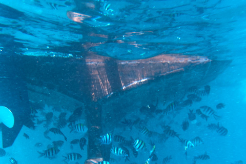 Pungume Island : Snorkeling en Sea Scooter