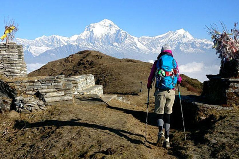 Khopra Danda Hill Trek @Annapurna Region, Nepal