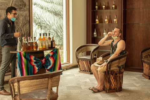 Cozumel Private Jeep Tour with Lunch and Snorkeling