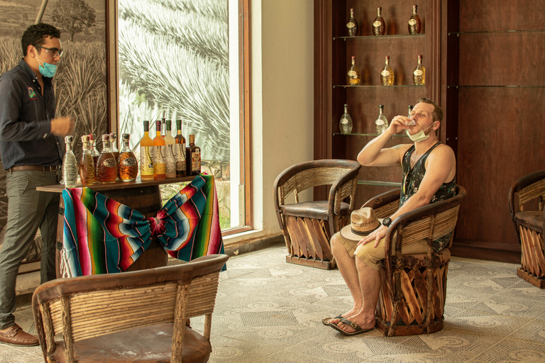 Cozumel Private Jeep Tour with Lunch and Snorkeling