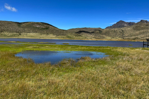 Ecuador Volcano & Rose Industry Experience from Quito