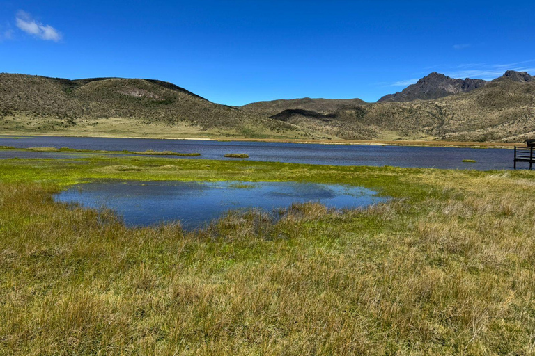 Ecuador Volcano & Rose Industry Experience from Quito