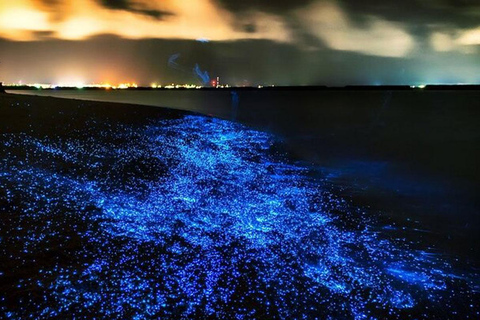 普吉岛：黄昏海上独木舟之旅与发光浮游生物