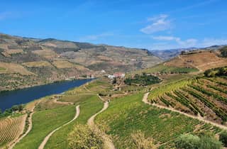 Von Porto aus: Douro Valley Wine Tasting Tour mit Abholung vom Hotel