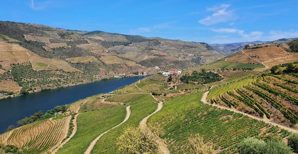 Porto: Douro Valley Tour mit Weinprobe, Bootstour und Mittagessen