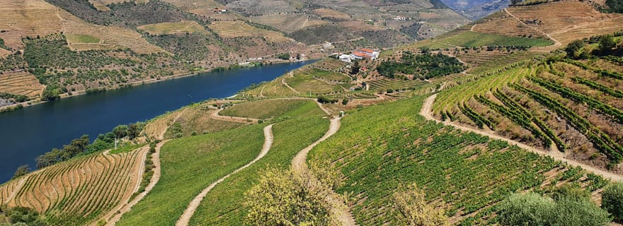 Depuis Porto : Visite de dégustation de vins de la vallée du Douro avec prise en charge à l'hôtel