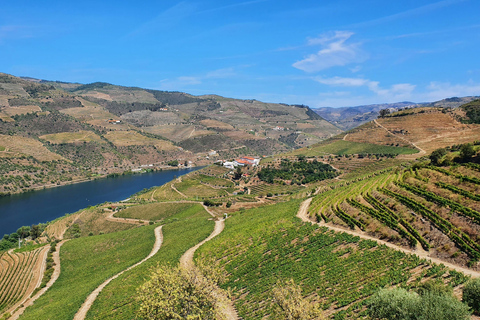 From Porto: Douro Valley Wine Tasting Tour With Hotel PickupPickup at Hotel