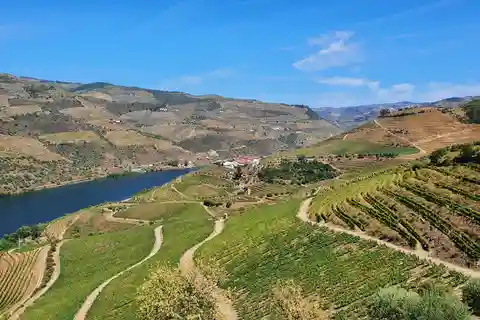 From Porto: Douro Valley Wine Tasting Tour With Hotel Pickup