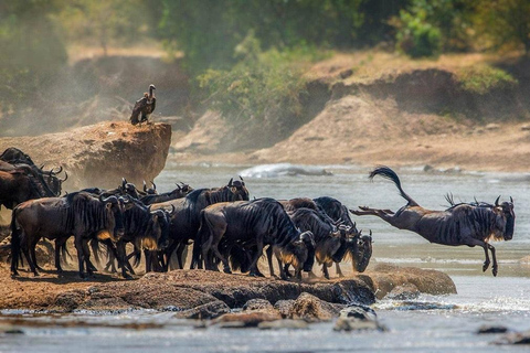 Increíble Safari de 8 Días en Tanzania por Tarangire y Serengeti