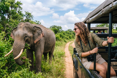 From Sigiriya: Minneriya National Park Expert Jeep Safari From Dambulla: Minneriya National Park Private Jeep Safari