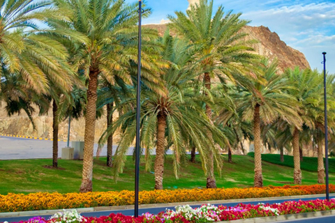 Muscat Sightseeing City Tour PrivateMuscat Sightseeing City Tour