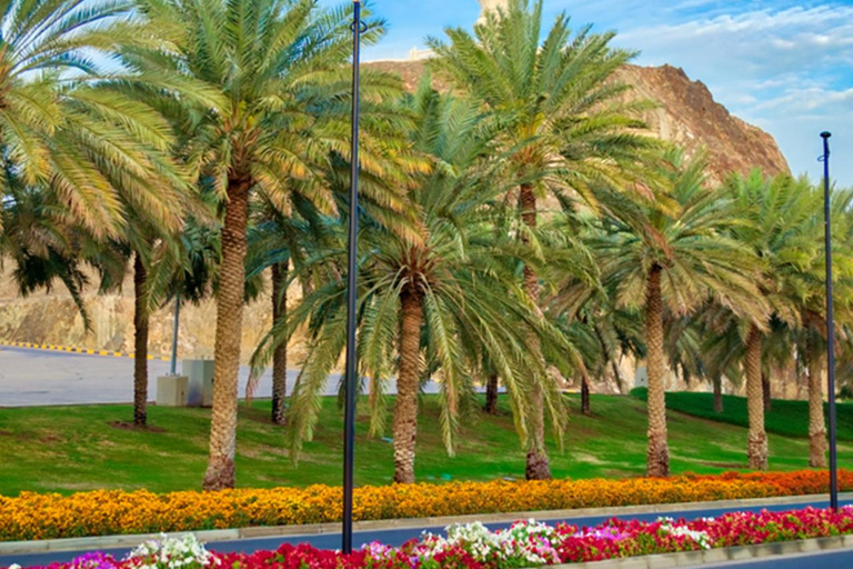 Stadsrondleiding Muscat PrivéStadsrondleiding Muscat