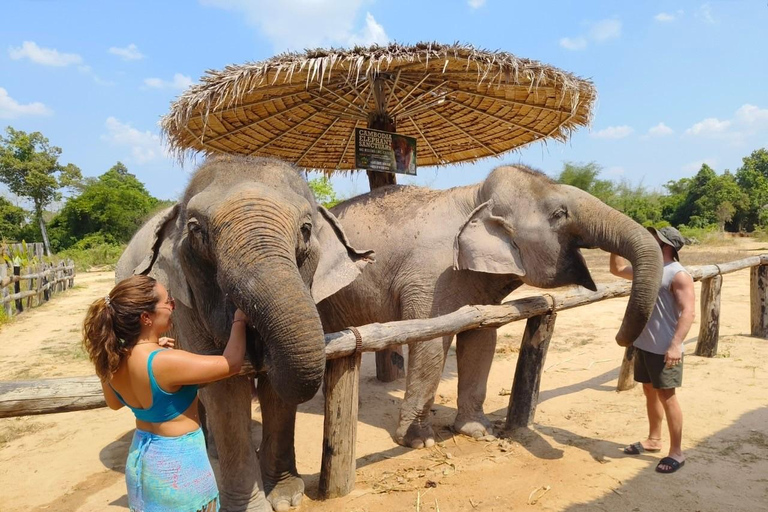 Cambodia Elephant Sanctuary, Pickup and drop off included