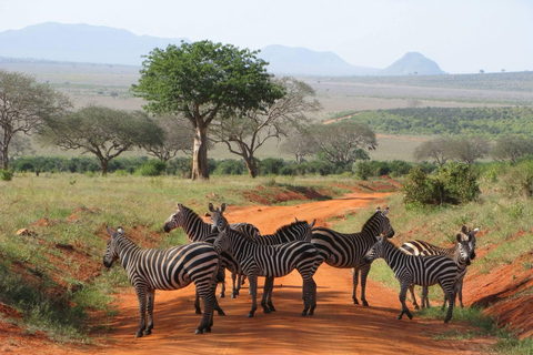Mombasa: 3-Day Tsavo East/West & Kilimanjaro Views Safari