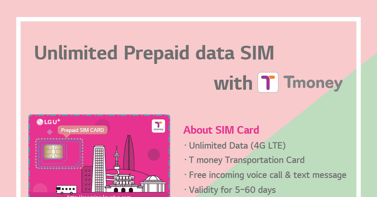 Incheon Airport: Traveler SIM and Public Transportation Card | GetYourGuide