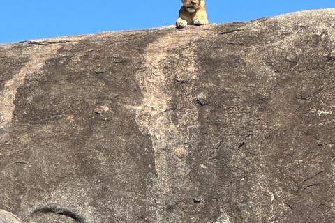 4-Days Group Safari Tour Tarangire, Serengeti & Ngorongoro 4-Days Group Safari Tarangire, Serengeti & Ngorongoro