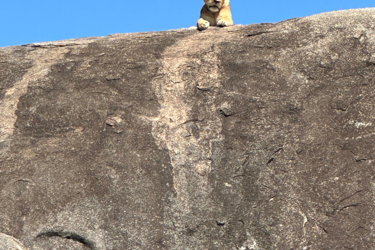 4-Days Group Safari Tour Tarangire, Serengeti & Ngorongoro 4-Days Group Safari Tarangire, Serengeti & Ngorongoro