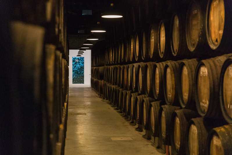 Oporto: Visita Guiada y Degustación de 3 Vinos de Oporto