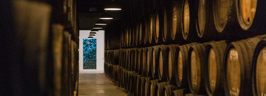 Porto: Tour and Tasting of 3 Port Wines at Poças Cellar