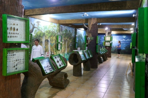 Roatán: Gumbalimba Preservation Nature Park und Beach BreakAbholung vom Hotel