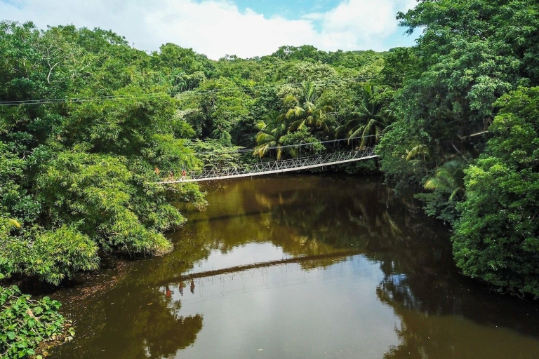 Roatán: parc naturel de préservation de Gumbalimba et pause plagePrise en charge à l'hôtel